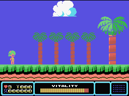 Платформер Tina's Adventure Island для MSX появился в свободном доступе Платформер Tina's Adventure Island для MSX появился в свободном доступе